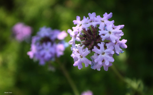 692478 (a): :2560x1600